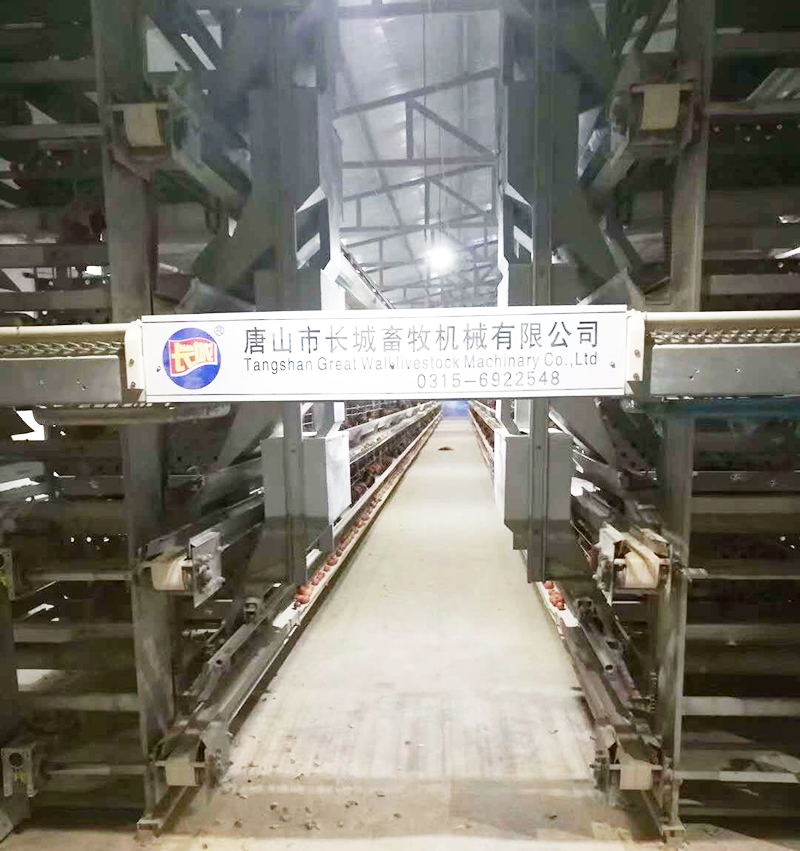 若是您想用自动化装备养蛋鸡，，，，，，，哪些蛋鸡装备是必不可少的？？？？？？？